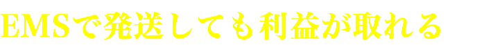 EMSで発送しても利益が取れる